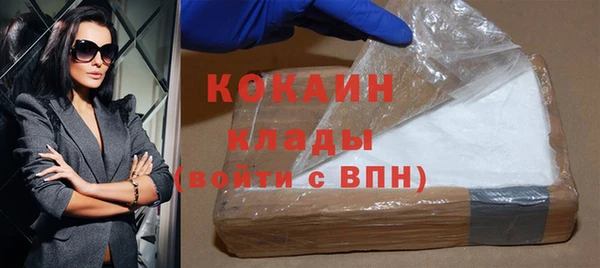 шишки Бородино