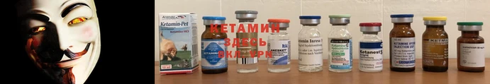 шишки Бородино