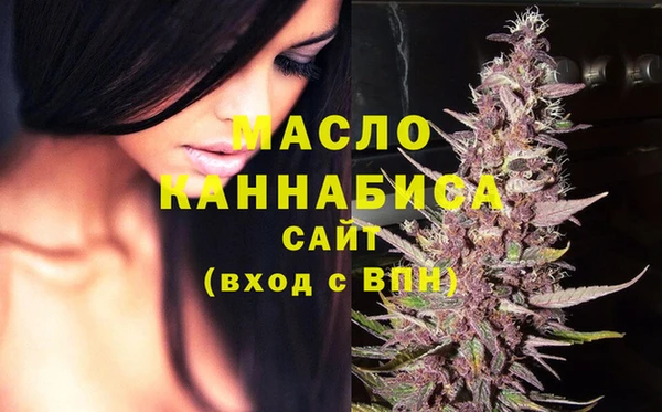 шишки Бородино