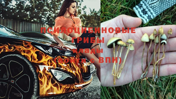 дживик Верея