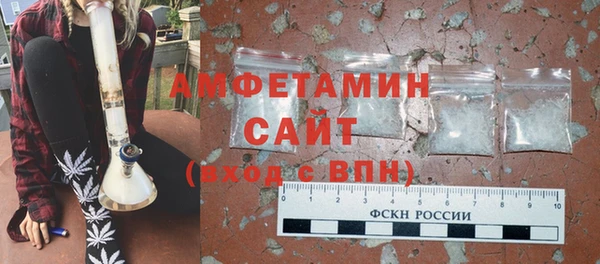 шишки Бородино