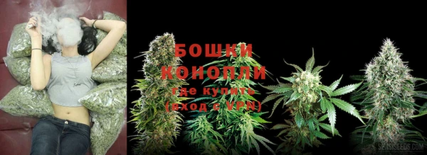 шишки Бородино
