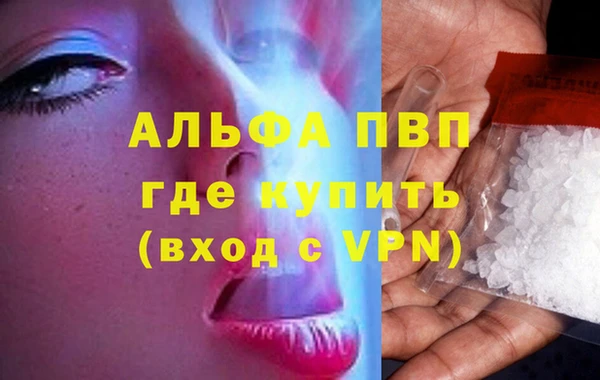 шишки Бородино
