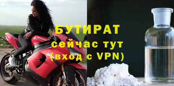 шишки Бородино