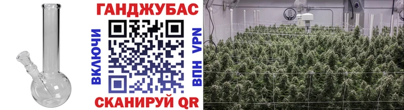 что такое   Вятские Поляны  Шишки марихуана тримм 